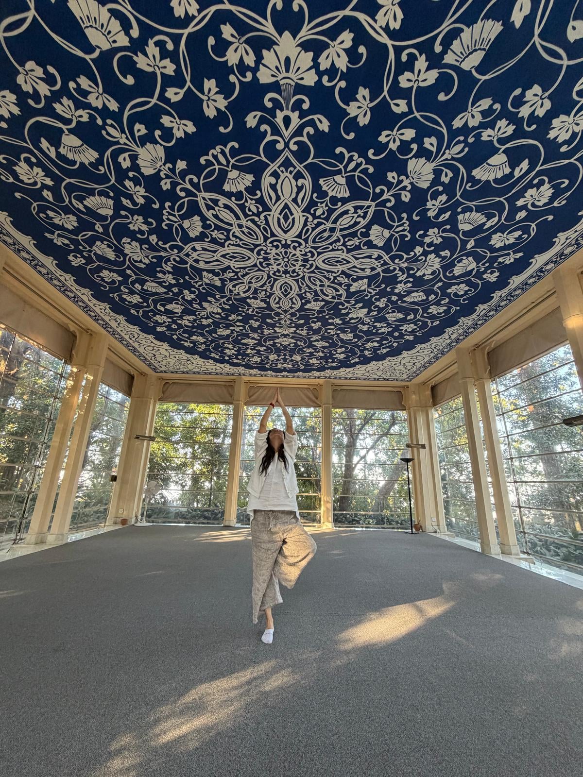 From Palaces to Peace – Golden Triangle & Ananda Wellness